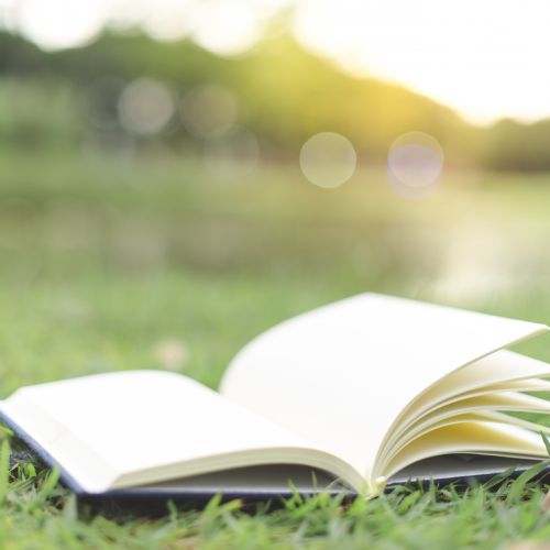 Image d'un livre ouvert dans un paysage de nature