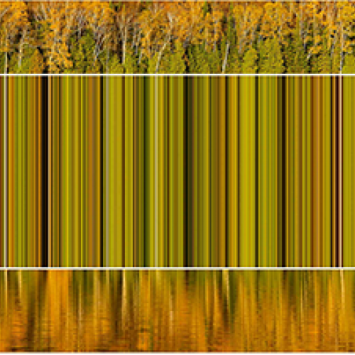 Couverture jaune