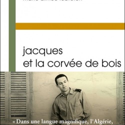 la couverture est blanche avec une ligne verte et une ligne moutarde. Une photographie jaunie se situe en bas. C'est un homme adossé à un mur
