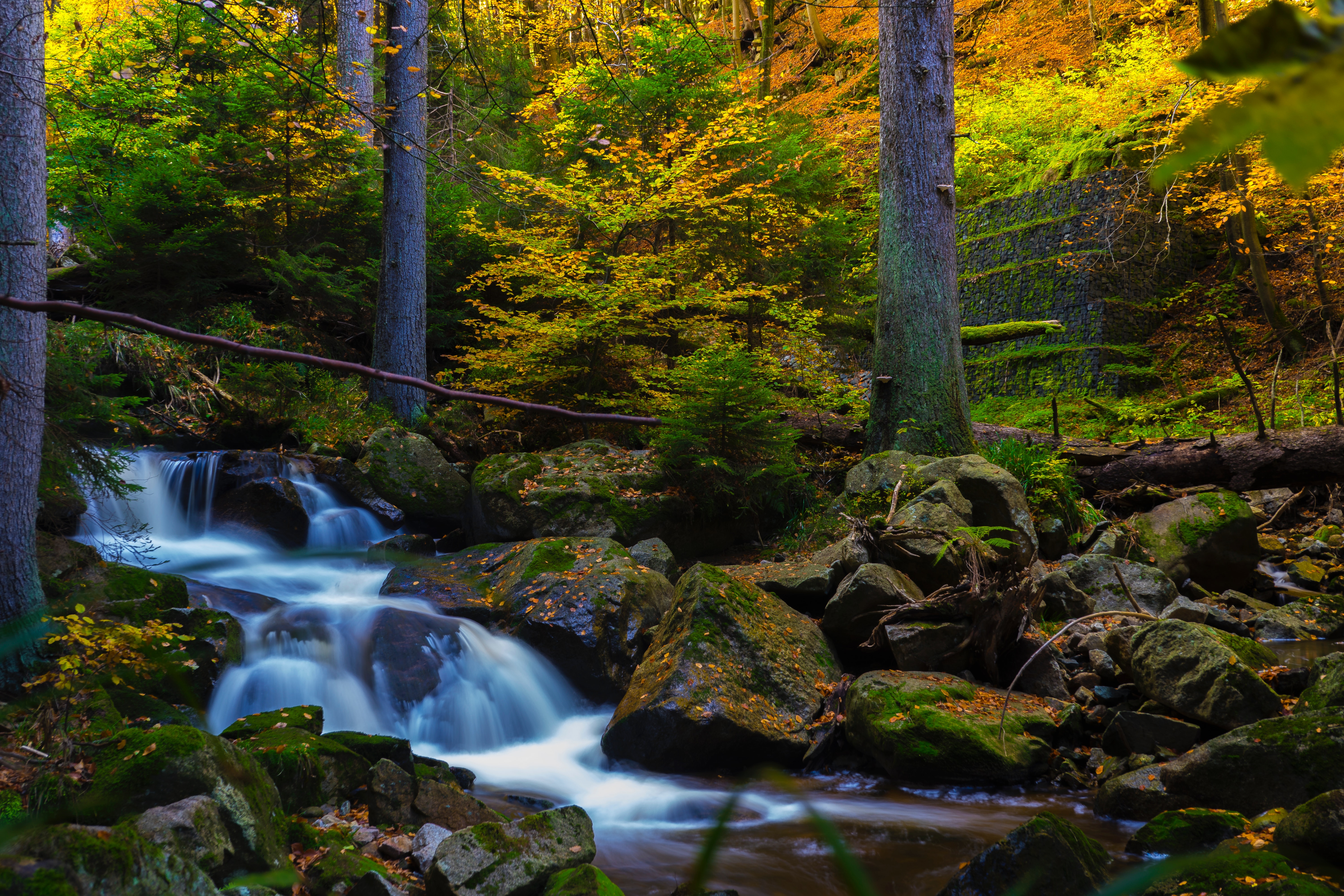 Cours d'eau