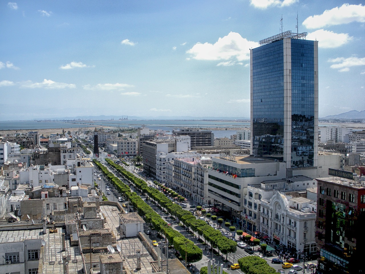 Ville de Tunis