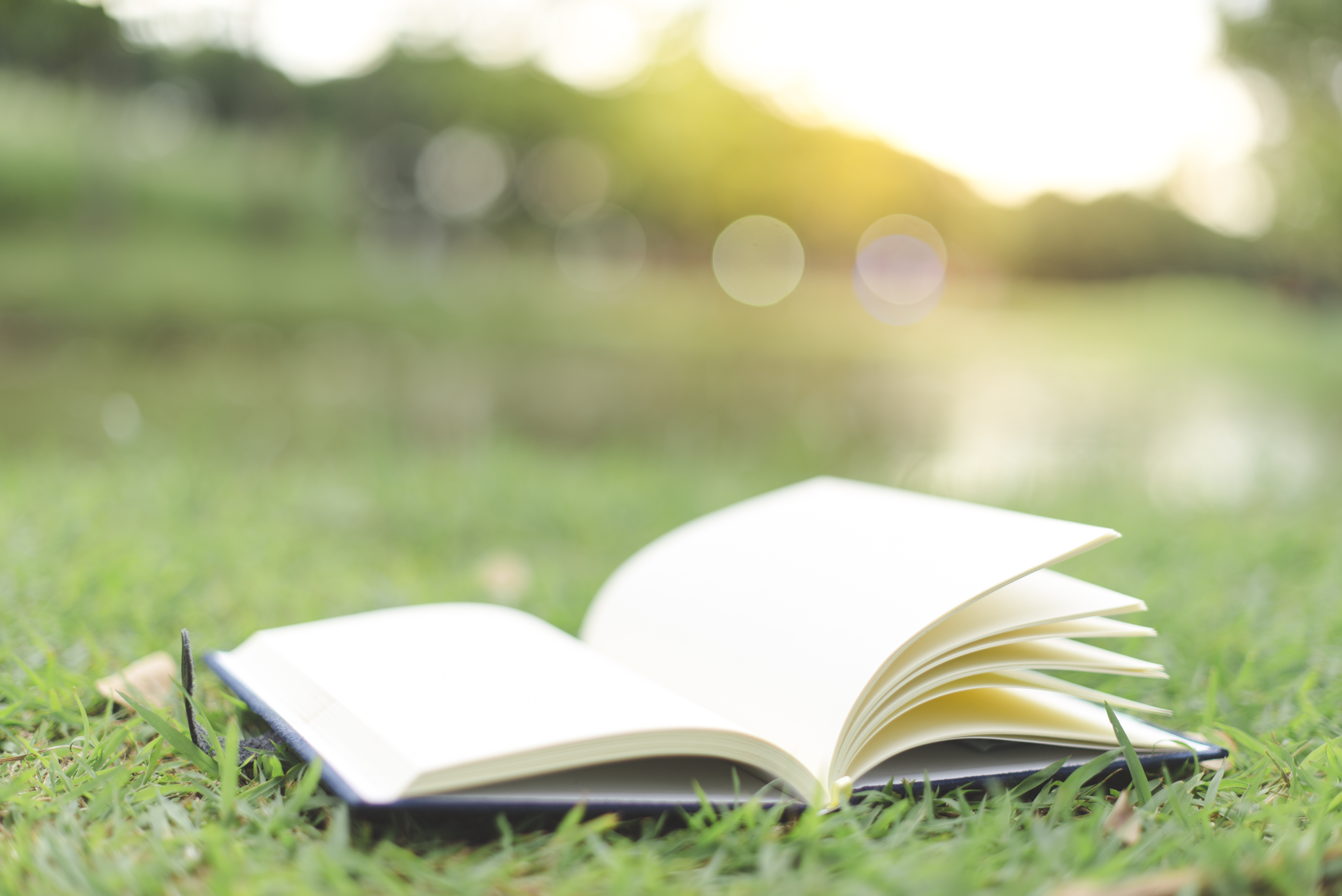 Image d'un livre ouvert dans un paysage de nature