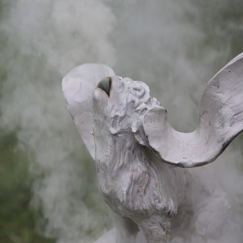 * Camille Grosperrin